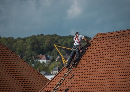 zawodów